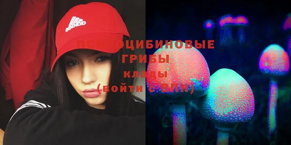 соль ск Абдулино