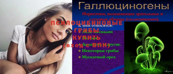 спайс Алзамай