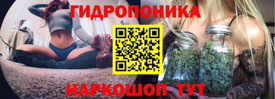 стаф Обнинск