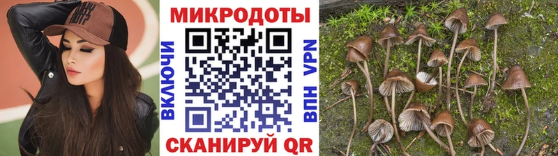 MEGA как зайти  Шали  Галлюциногенные грибы Psilocybe  купить  сайты 